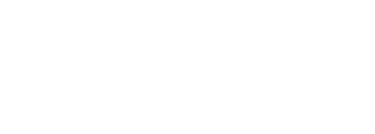 Partner logo 5